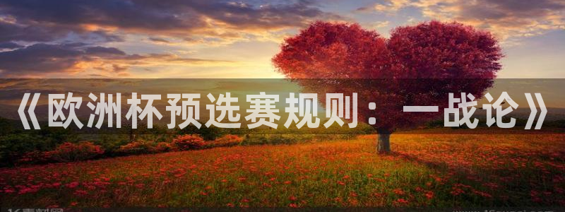 世界杯亚洲预选赛18强赛程：《欧洲杯预选赛规则：一战论》