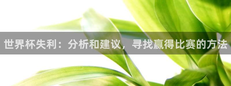 世界杯亚洲区预选赛赛程表：世界杯失利：分析和建议，寻找赢得比赛的方法