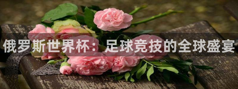 世界杯球队：俄罗斯世界杯：足球竞技的全球盛宴