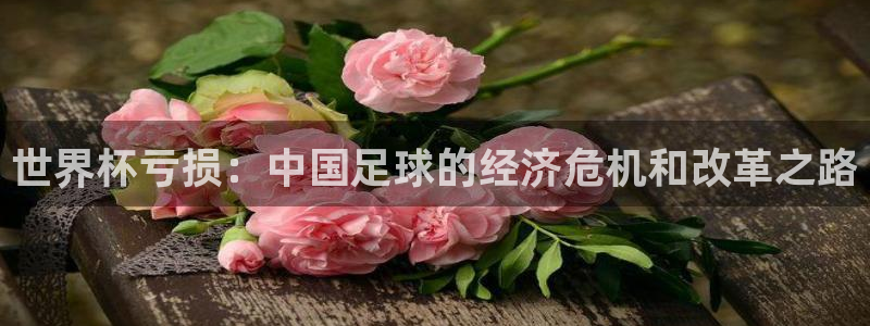 足球世界杯赛程：世界杯亏损：中国足球的经济危机和改革之路