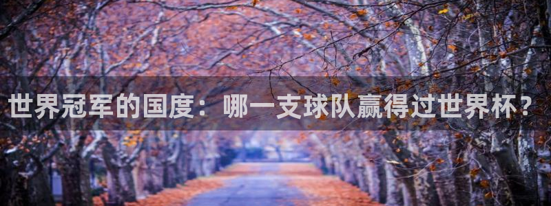 2026世界杯南美区积分榜：世界冠军的国度：哪一支球队赢得过世界杯？