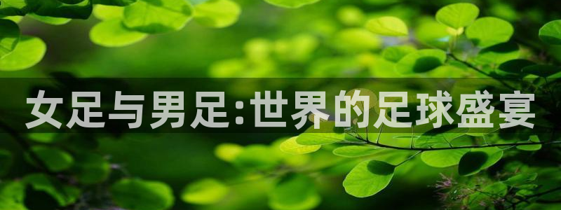 世界杯2026赛程时间表格：女足与男足:世界的足球盛宴