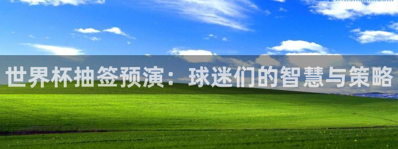 世界杯2026比赛时间表：世界杯抽签预演：球迷们的智慧与策略