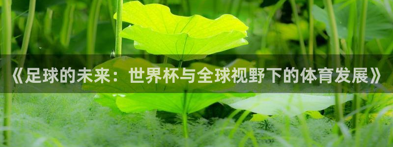 2026世界杯预选赛：《足球的未来：世界杯与全球视野下的体育发展》