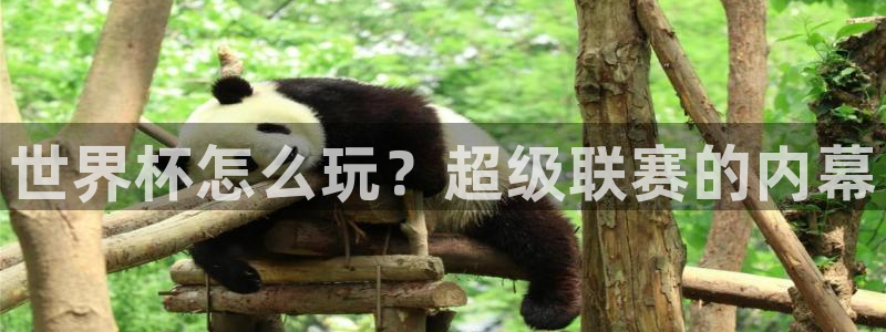 世界杯官网入口：世界杯怎么玩？超级联赛的内幕