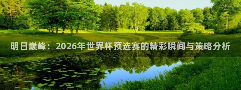2026世界杯直播免费观看：明日巅峰：2026年世界杯预选赛的精彩瞬间与策略分析
