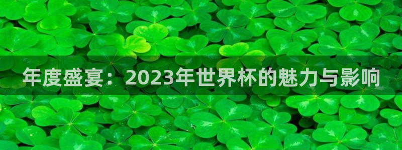 世界杯赛程时间表：年度盛宴：2023年世界杯的魅力与影响